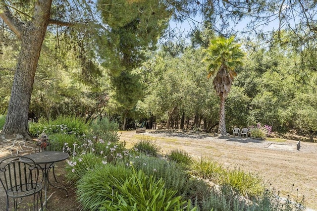 30556 Rock Stone Rd, Valley Center, CA 92082 - photo 40