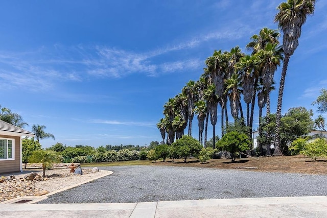 10166 Rancho Roble Rd, Escondido, CA 92026 - view of yard