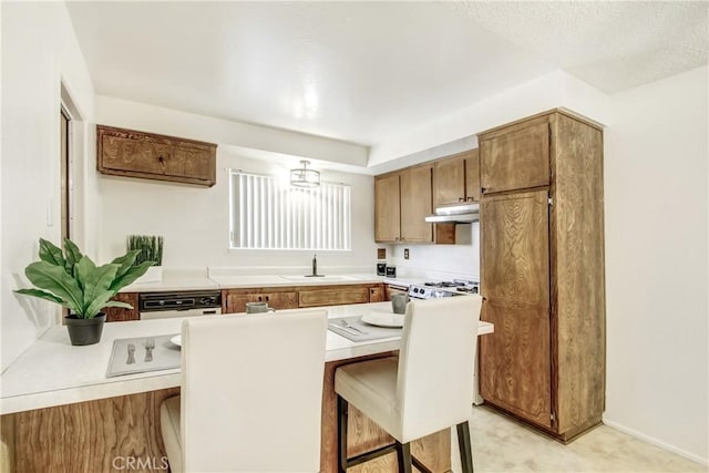 1593 W Carter St, Bloomington, CA 92316 - kitchen with under cabinet range hood, brown cabinetry, light countertops, and dishwashing machine