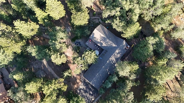 32383 Pine Manor Ln Unit 634, Running Springs, CA 92382 - aerial overview of property's location