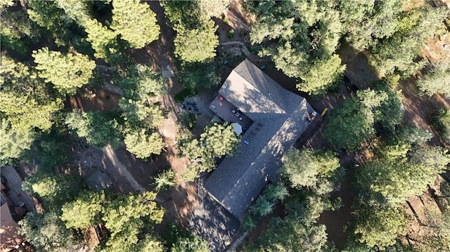 32383 Pine Manor Ln Unit 634, Running Springs, CA 92382 - aerial view of property and surrounding area