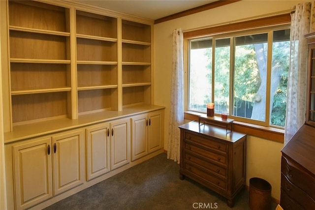 32383 Pine Manor Ln Unit 634, Running Springs, CA 92382 - unfurnished office featuring dark colored carpet