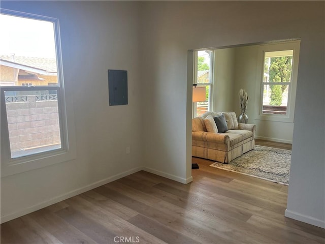 1231 Webster St, Redlands, CA 92374 - photo 19