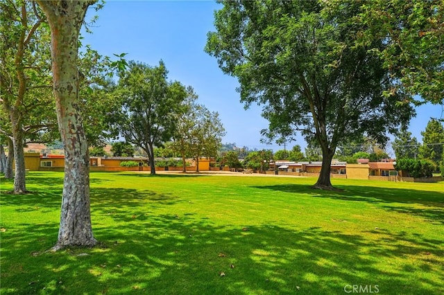 750 Via Los Santos, San Dimas, CA 91773 - view of home's community featuring a lawn