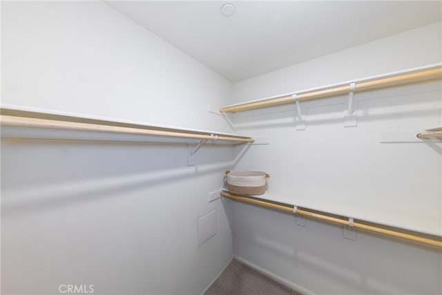 10757 Morgan Ct, Hesperia, CA 92345 - walk in closet with carpet flooring
