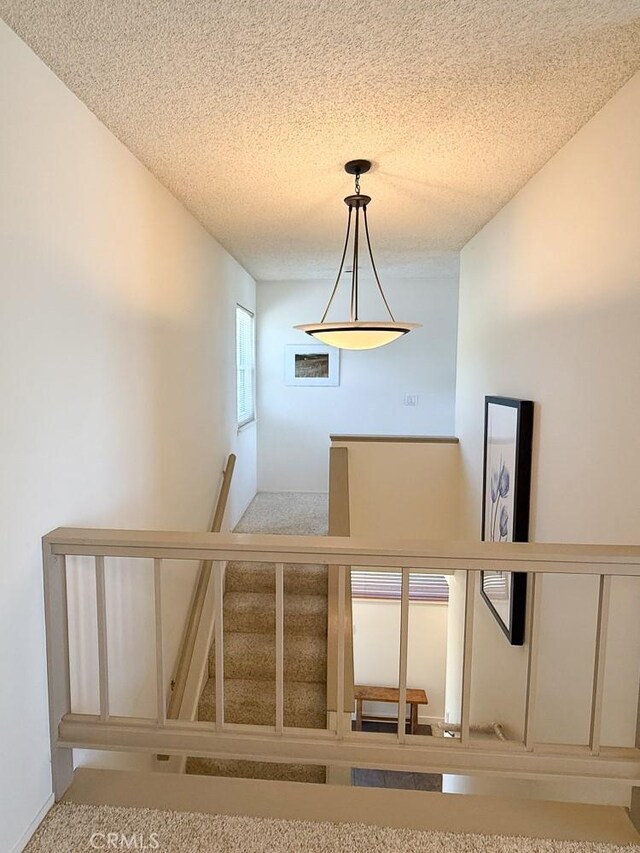 557 Lucerne St, Cayucos, CA 93430 - stairs featuring carpet floors and a textured ceiling