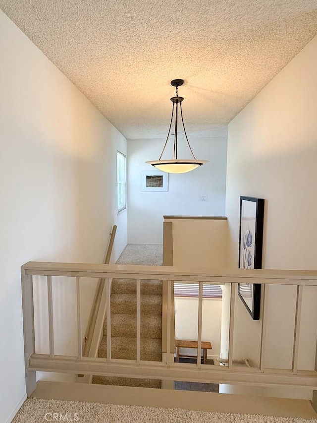 557 Lucerne St, Cayucos, CA 93430 - photo 23