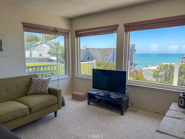 557 Lucerne St, Cayucos, CA 93430 - living area with carpet floors and a textured ceiling