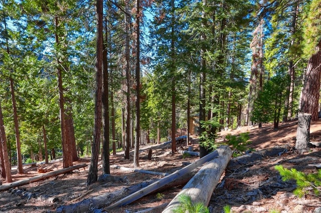 7349 Yosemite Park Way, Yosemite, CA 95389