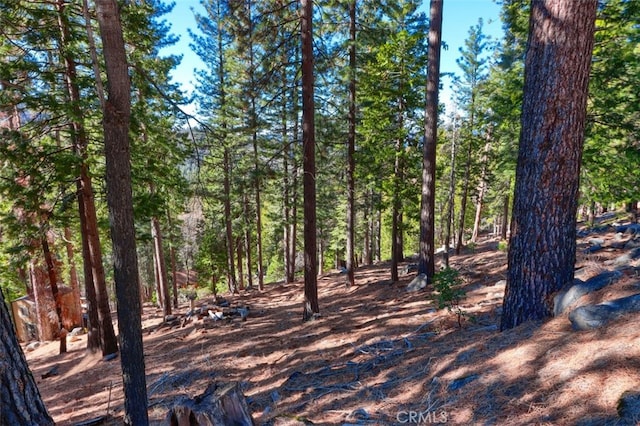 7349 Yosemite Park Way, Yosemite, CA 95389