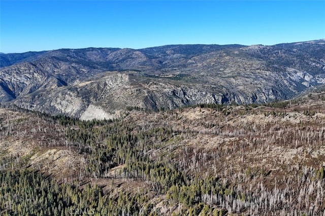 7349 Yosemite Park Way, Yosemite, CA 95389
