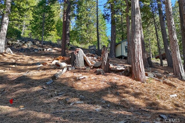 7349 Yosemite Park Way, Yosemite, CA 95389