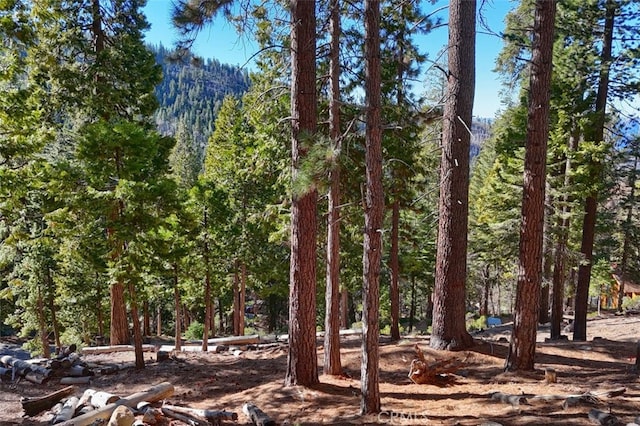 7349 Yosemite Park Way, Yosemite, CA 95389