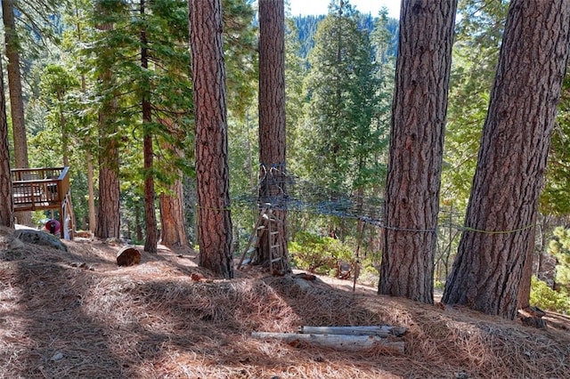 7349 Yosemite Park Way, Yosemite, CA 95389