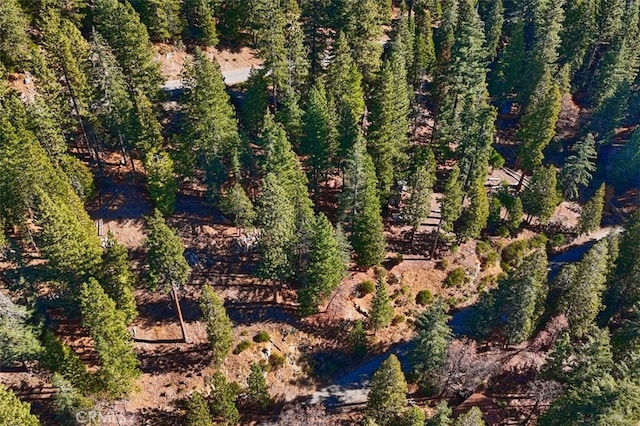 7349 Yosemite Park Way, Yosemite, CA 95389