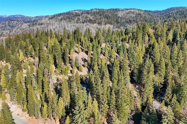 7349 Yosemite Park Way, Yosemite, CA 95389