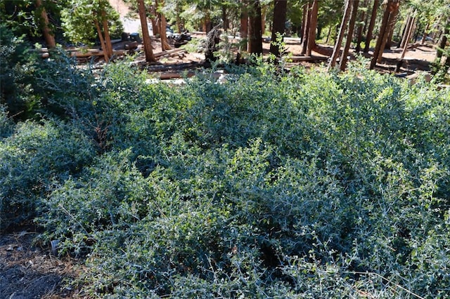 7349 Yosemite Park Way, Yosemite, CA 95389