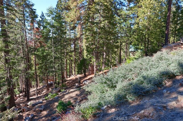 7349 Yosemite Park Way, Yosemite, CA 95389
