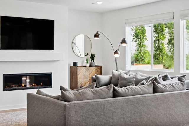 35188 Orchard Trl, Fallbrook, CA 92028 - living area featuring wood finished floors and a glass covered fireplace