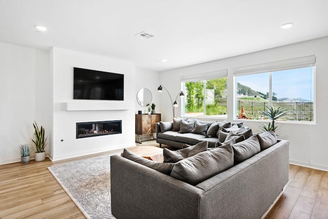 35188 Orchard Trl, Fallbrook, CA 92028 - living room with a glass covered fireplace, light wood-type flooring, and recessed lighting