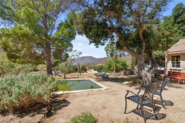 39813 Calle Carona, Green Valley, CA 91390 - photo 10