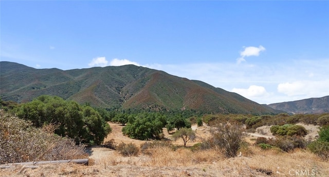 39813 Calle Carona, Green Valley, CA 91390 - photo 26