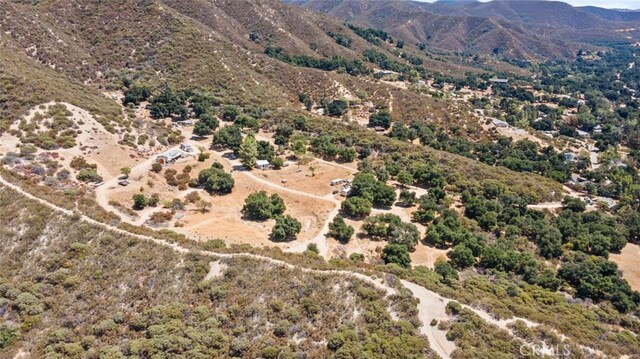 39813 Calle Carona, Green Valley, CA 91390 - photo 6