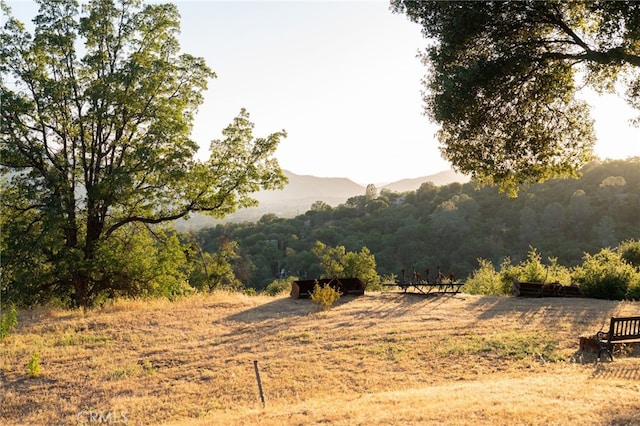 40640 Taylor Mountain Rd, Oakhurst, CA 93644 - photo 52