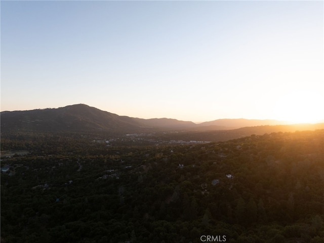 40640 Taylor Mountain Rd, Oakhurst, CA 93644 - photo 59