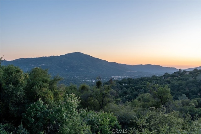 40640 Taylor Mountain Rd, Oakhurst, CA 93644 - photo 49