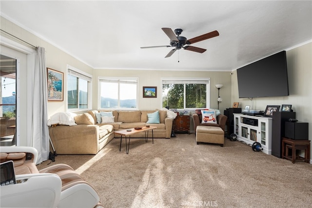 40640 Taylor Mountain Rd, Oakhurst, CA 93644 - photo 8