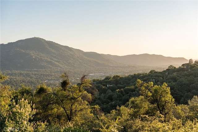 40640 Taylor Mountain Rd, Oakhurst, CA 93644 - photo 58