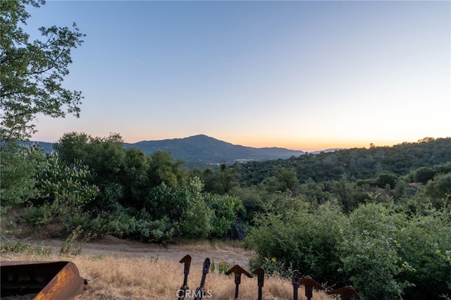 40640 Taylor Mountain Rd, Oakhurst, CA 93644 - photo 48
