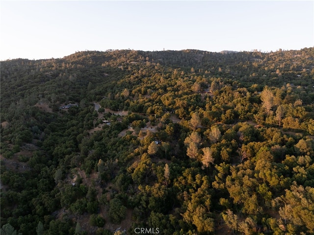 40640 Taylor Mountain Rd, Oakhurst, CA 93644 - photo 61