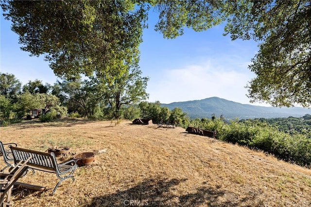 40640 Taylor Mountain Rd, Oakhurst, CA 93644 - photo 38