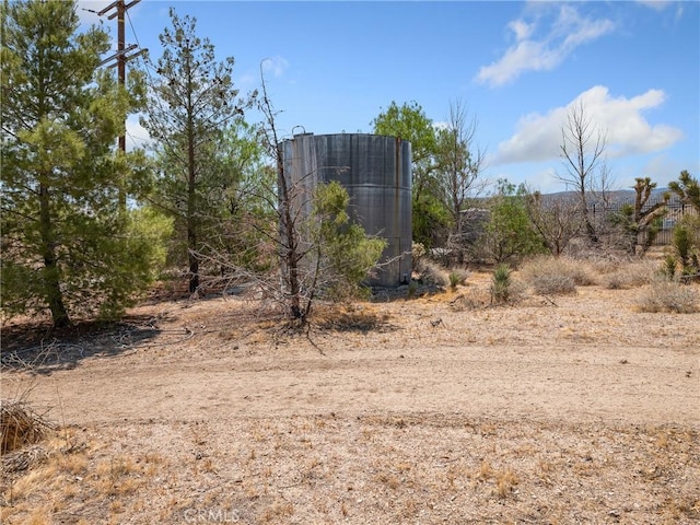 31709 213th St E, Llano, CA 93544 - view of yard