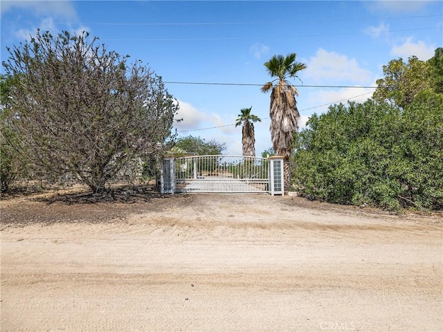 31709 213th St E, Llano, CA 93544 - view of dirt / gravel road with a gate and a gated entry