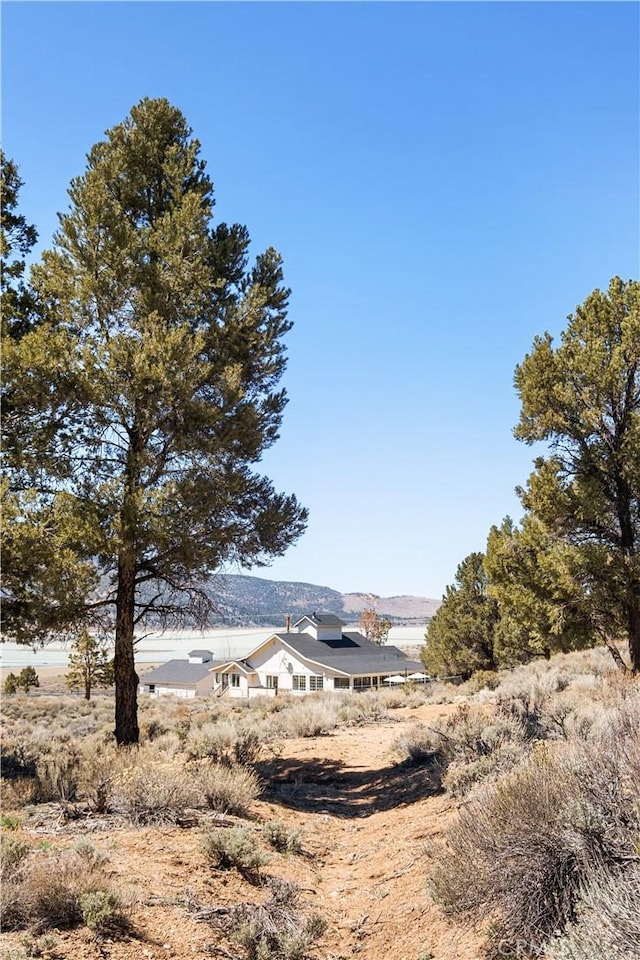 2000 Baldwin Lake Rd, Big Bear City, CA 92314 - view of yard