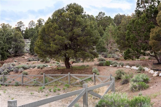 2000 Baldwin Lake Rd, Big Bear City, CA 92314 - view of yard