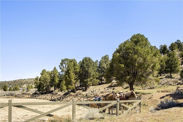2000 Baldwin Lake Rd, Big Bear City, CA 92314 - view of yard