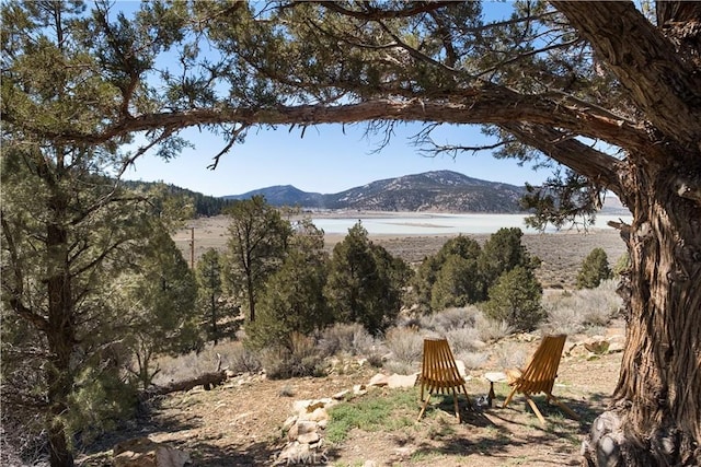 2000 Baldwin Lake Rd, Big Bear City, CA 92314 - mountain view