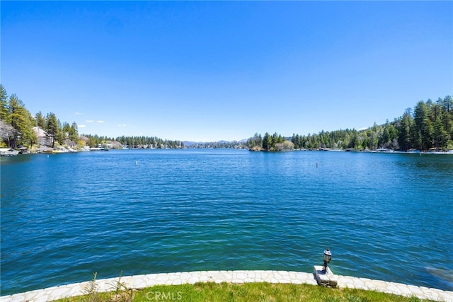 177 Shorewood Dr, Lake Arrowhead, CA 92352 - photo 8