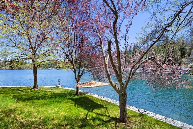177 Shorewood Dr, Lake Arrowhead, CA 92352 - photo 9