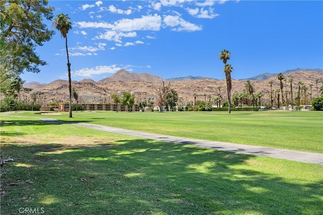 2423 Los, Patos, Palm Springs, CA 92264 - photo 24