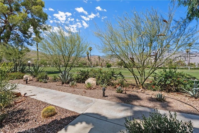 2423 Los, Patos, Palm Springs, CA 92264 - photo 23