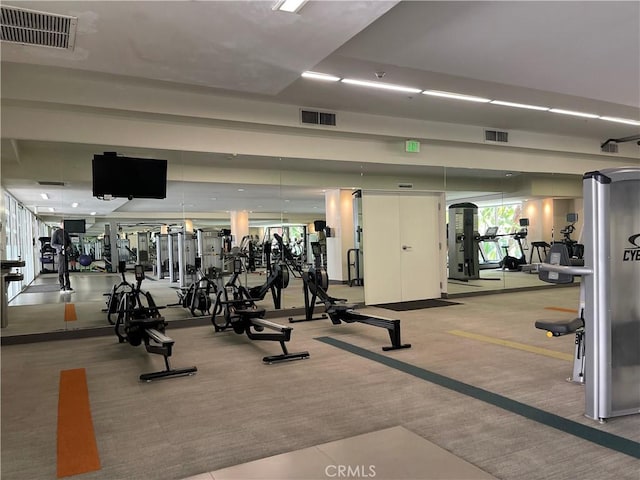1234 Wilshire Blvd Unit 127, Los Angeles, CA 90017 - gym featuring carpet floors