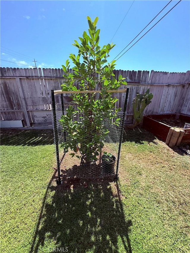 2616 N King St, Bakersfield, CA 93305 - view of yard