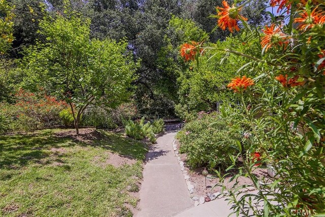 2450 Hermosita Dr, Glendale, CA 91208 - view of home's community with a yard