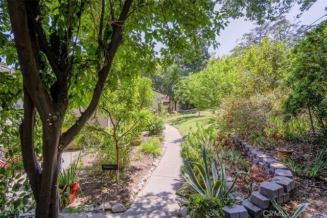 2450 Hermosita Dr, Glendale, CA 91208 - surrounding community