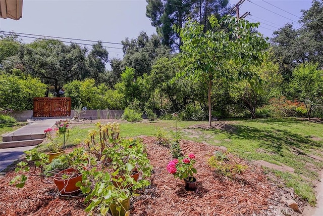 2450 Hermosita Dr, Glendale, CA 91208 - view of yard with a vegetable garden